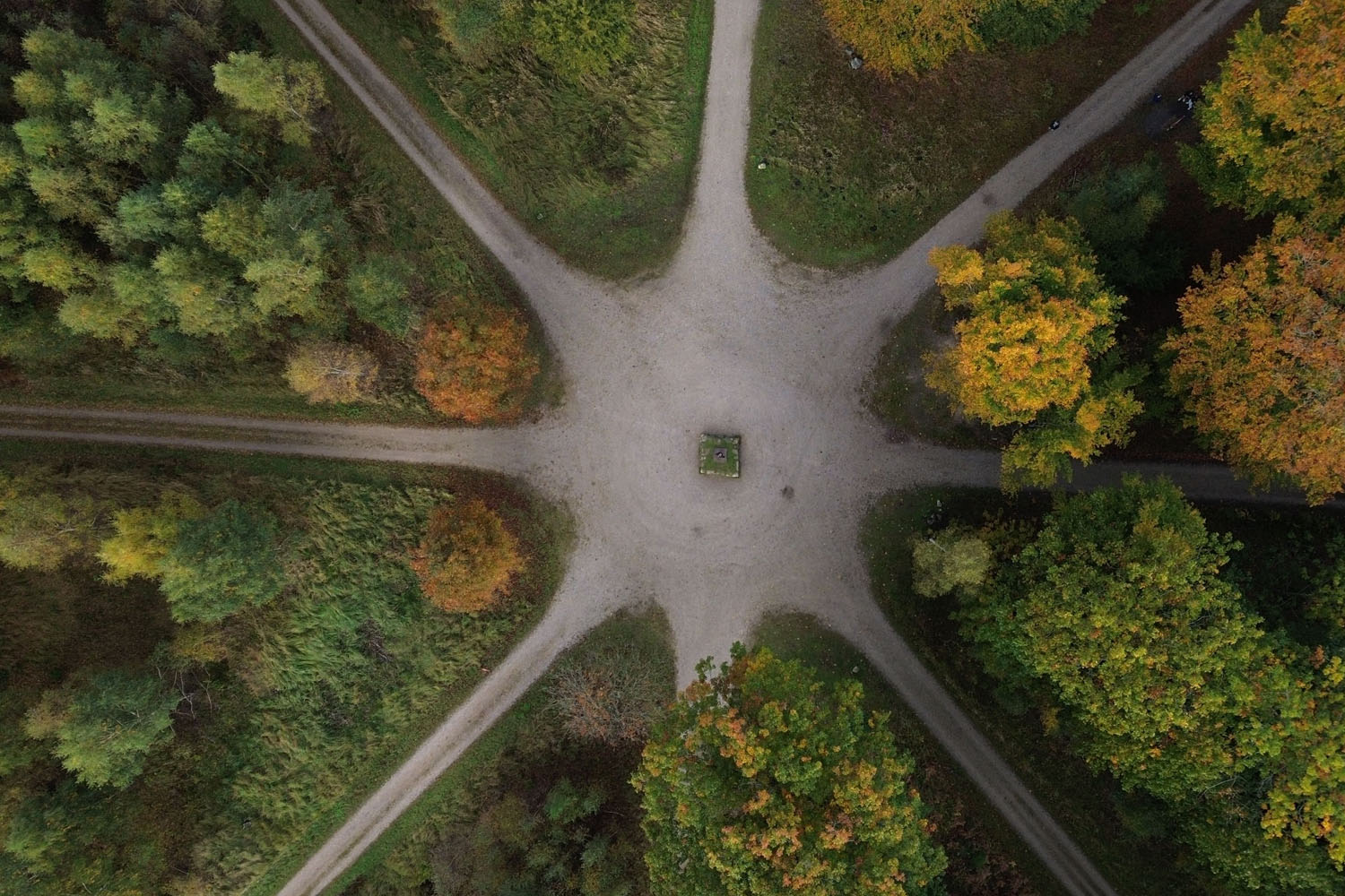 What Causes Brand Confusion in Growing Businesses? Growth Creating Complexity